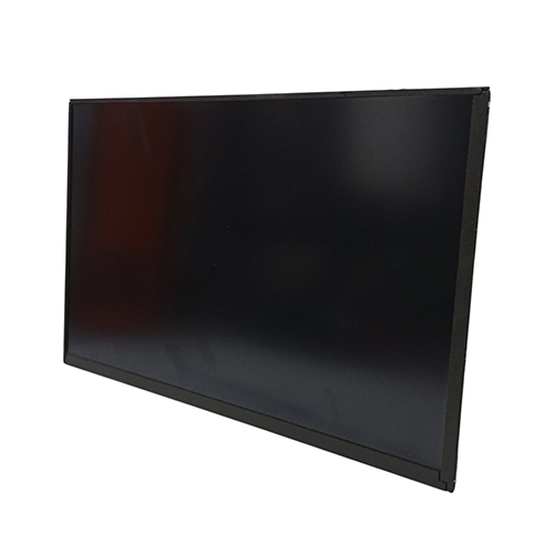 Pantalla Display Innolux 10.1 40 Pines N101icg-11